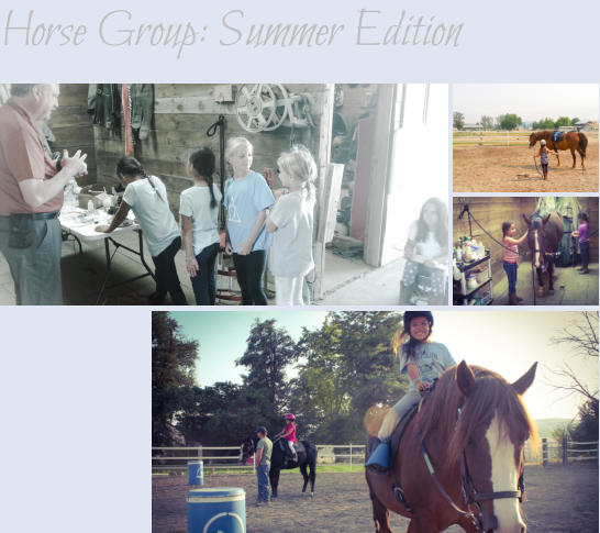 Horse Group: Summer Edition